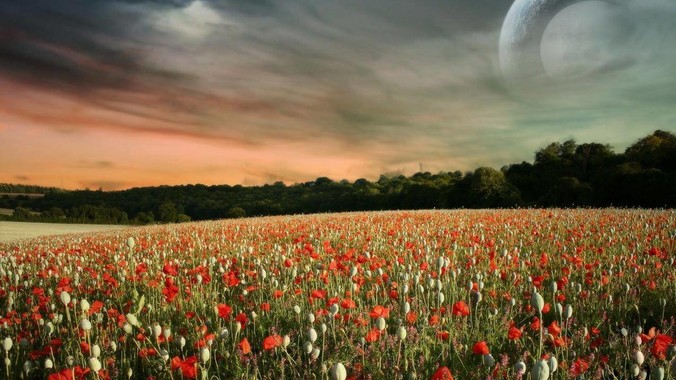 你读过的最好的 C开源代码是什么?